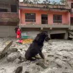 1788190659_flash-floods-in-nepal.jpg
