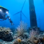a-robot-explored-the-waters-beneath-5-scottish-wind-turbines-and-found-121-types-of-marine-life-incl.avif