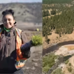 a-yurok-tribe-crew-member-plants-native-seedlings-along-the-restored-klamath-river-left-image-yurok.avif