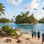after-years-of-invasive-rats-threatening-island-wildlife-tuvalu-removed-them-from-six-islets-residen.avif