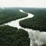 an-aerial-view-of-a-rain-forest-.jpg