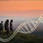 ancient-savanna-evolution.jpg