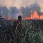 aptopix-indonesia-wildfires.jpg