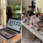 at-14-sheri-lynch-received-a-small-grey-hippo-as-a-birthday-gift-40-years-later-her-collection-had-g.avif