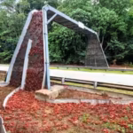 australia-has-built-bridges-just-for-crabs-so-millions-of-red-crabs-can-safely-migrate-across-christ.avif