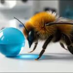bee-pushes-blue-ball.jpg