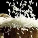 birc-2026-draws-3317-overseas-buyers-from-138-countries-ahead-of-october-event.jpg
