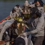 brazils-polluted-rio-mangroves-were-disappearing-under-waste-then-local-fishers-restored-182-hectare.avif