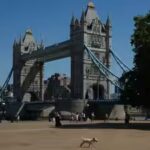 britain-records-its-hottest-day-of-the-year-as-summer-heat-grips-parts-of-europe-in-photos.jpg