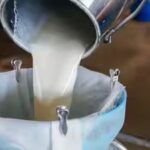 can-you-guess-indias-milk-capital-heres-why-this-gujarat-city-earned-the-title.jpg