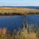 chesapeake-bay-.jpg