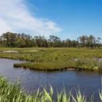 chincoteague-national-wildlife-refuge-.jpg