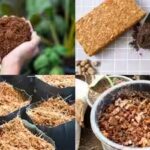 cocopeat.jpg