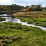 denmark-river.jpg