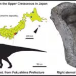 dinosaur-iguanodontian.jpg