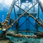 divers-turned-a-floating-wind-turbine-off-spain-into-an-underwater-farm-oysters-clams-mussels-and-gr.avif