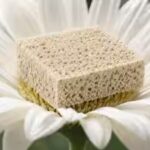 eco-friendly-bio-based-foam-credit-iisc.jpg