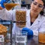 florida-scientists-are-turning-rice-husk-waste-into-reusable-water-filters-that-can-remove-pollutant.avif