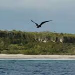 henderson-island-.jpg