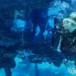 in-1970-sylvia-earle-led-five-women-into-an-underwater-lab-for-14-days-helping-prove-humans-could-li.avif