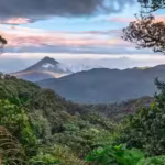 in-1972-costa-rica-began-protecting-a-misty-mountain-forest-decades-later-monteverdes-10500-hectares.avif