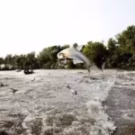 in-2009-minnesota-treated-pickerel-lake-with-fish-poison-to-remove-common-carp-afterward-water-clari.avif