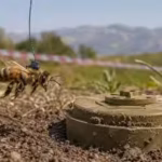 in-2013-honeybees-were-trained-to-find-land-mines-left-behind-by-the-balkan-wars-turning-their-extra.avif