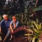 in-the-1970s-pulitzer-prize-winning-poet-ws-merwin-and-his-wife-paula-bought-a-barren-piece-of-land.avif