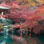 japan-canva.jpg