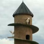 johnsons_goat_tower_brightened.jpg