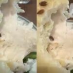 live-worm-in-sandwich.jpg