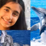 meet-ishanvi-sakharpe-the-virginia-student-who-built-dolphin-guard-to-help-protect-dolphins-from-dan.avif
