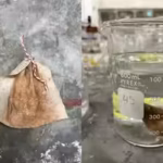 meet-vick-tan-the-minnesota-student-who-turned-a-teabag-into-a-low-cost-filter-that-removed-more-tha.avif