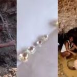 miners-at-work-in-panna.jpg