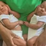 momo-twins.jpg