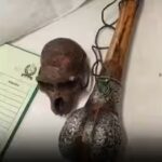 monkey-skull.jpg