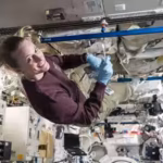 nasa-maps-moons-south-pole-regions-where-earth-bacteria-and-fungi-could-survive-for-more-than-a-day.avif