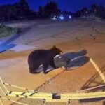 neighbourhoods-across-the-us.jpg