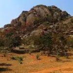 oldest-evidence-of-life-on-earth-has-been-discovered-in-india-a-34-billion-year-old-layered-rock-sho.avif