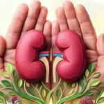 over-61k-wait-for-kidney-transplants.jpg