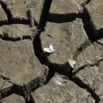 photos-show-european-fishers-on-the-brink-as-summer-drought-parches-rivers-lakes-and-farms.jpg