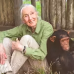 quote-of-the-day-by-jane-goodall-every-individual-matters-every-individual-has-a-role-to-play-every.avif