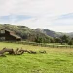 ranch1.jpg