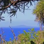 rangitoto-framed-tiritiri-matangi-island.jpg
