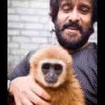 resizeplus_gibbon.jpg