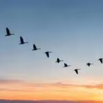scientists-discover-how-the-first-bird-learned-to-fly.jpg