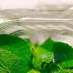 store-mint-leaves-and-keep-them-fresh-for-longer.jpg