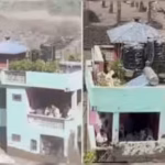the-green-house-that-survived-the-nepal-floods-viral-social-media-video-explains-how-smart-engineeri.avif