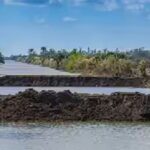 the-picayune-strand-restoration-project.jpg