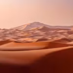 uae-is-turning-desert-sand-into-eco-friendly-bricks-and-the-method-cuts-cement-needed-for-constructi.avif